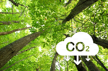 CO2